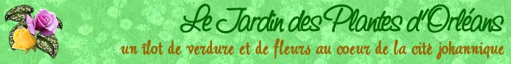 Site Web sur le Jardin des Plantes d'Orléans